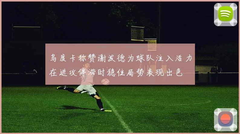 乌度卡称赞谢泼德为球队注入活力在进攻停滞时稳住局势表现出色