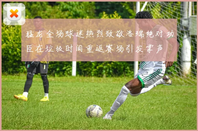 猛龙全场球迷热烈致敬洛瑞绝对功臣在垃圾时间重返赛场引发掌声